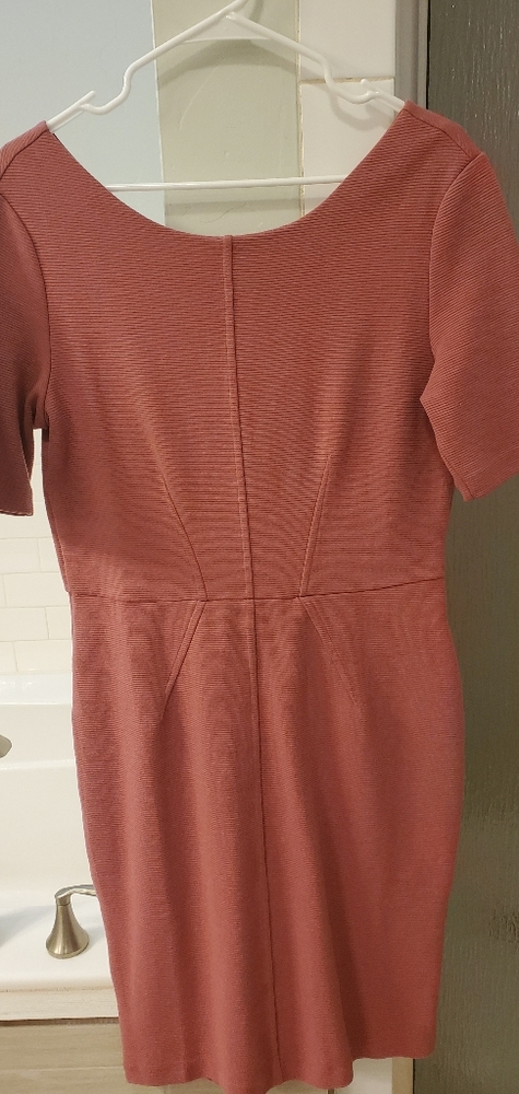 Rose blush downeast dress